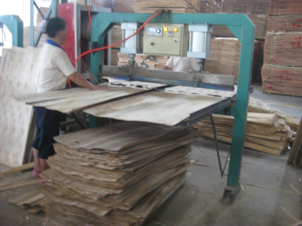 Plywood factory equipment03