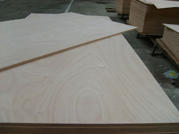 Poplar plywood05