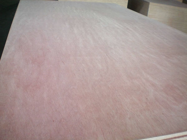 Commercial plywood--Hardwood core plywood01